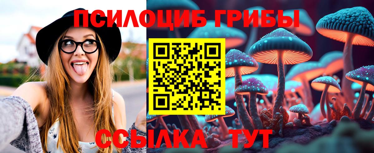 Псилоцибиновые грибы Psilocybe  Псилоцибиновые грибы мицелий  Вход с VPN  Рославль 